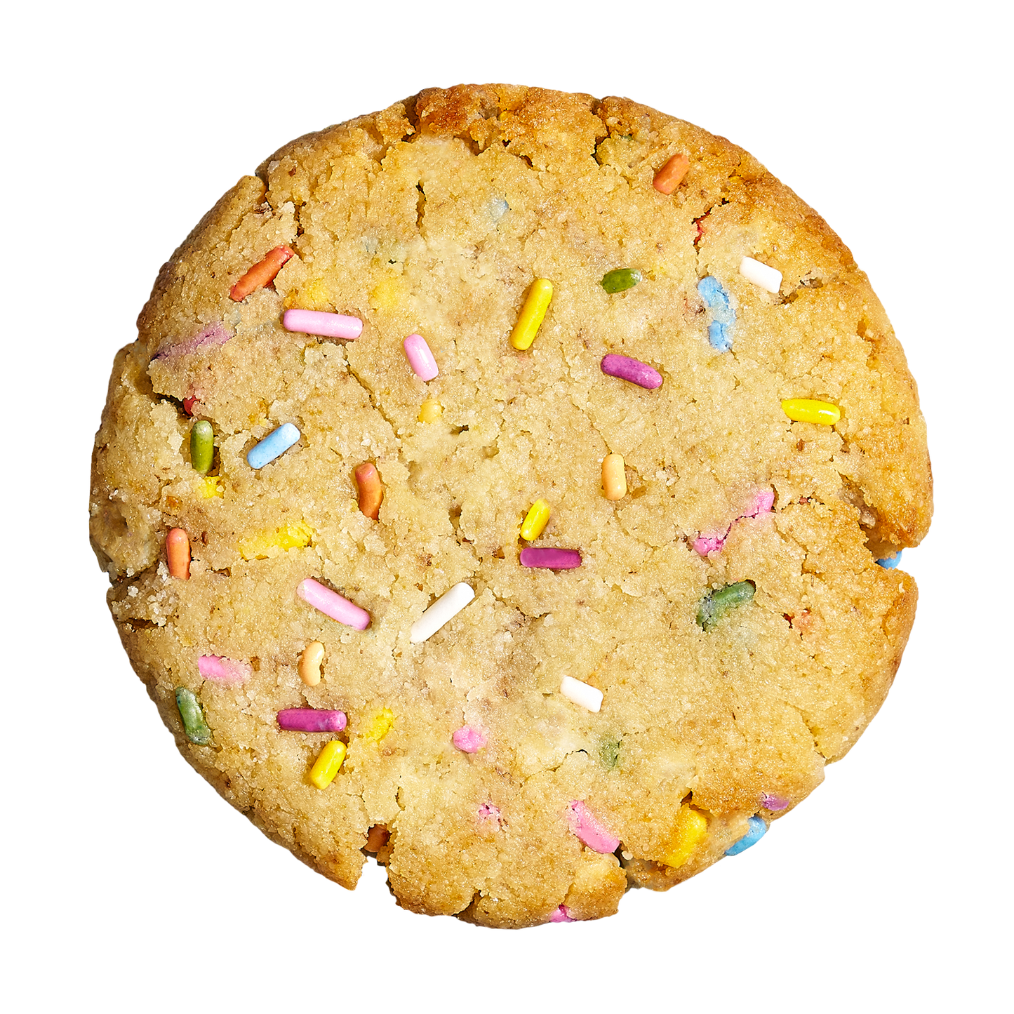 Rainbow Sprinkles