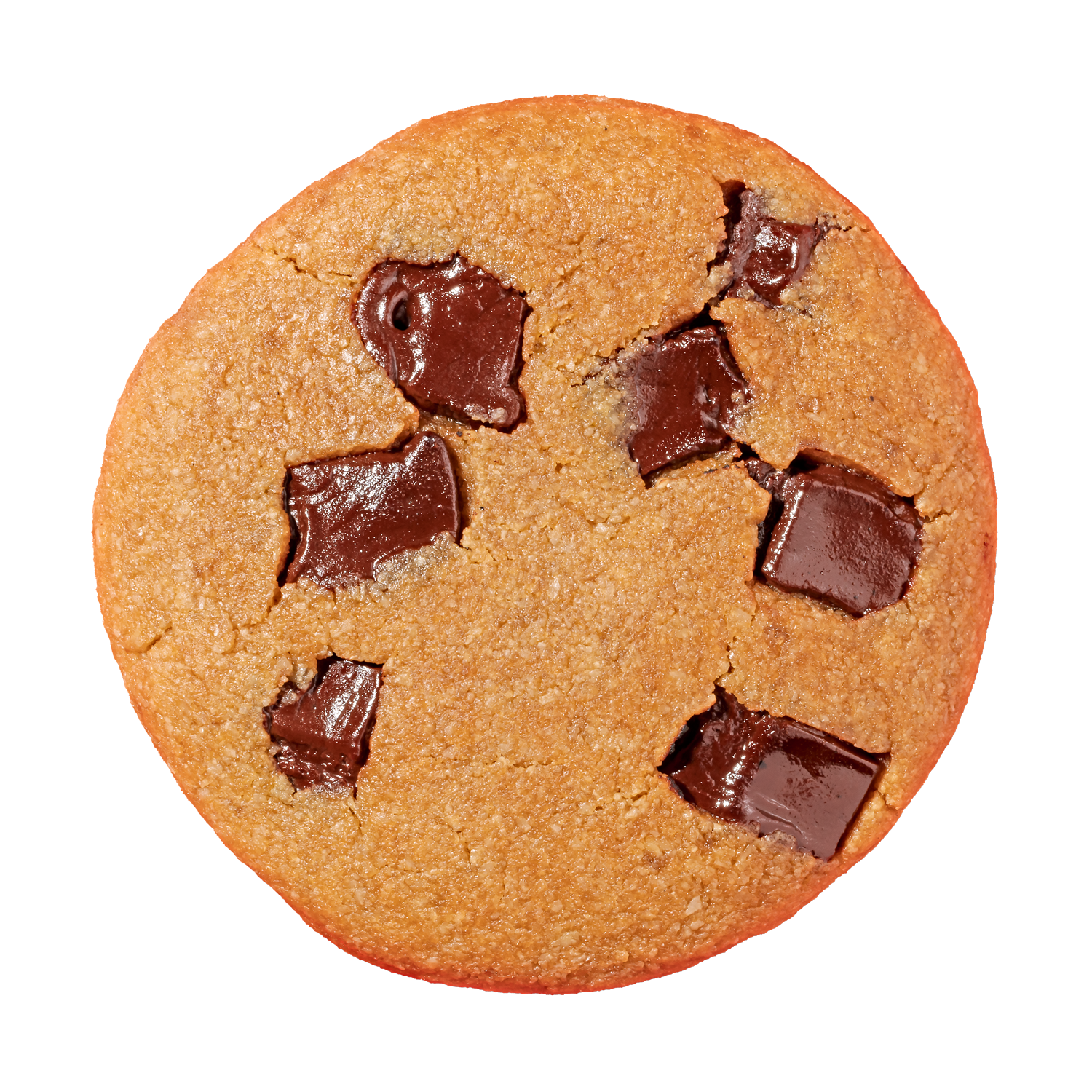 Chocolate Chip