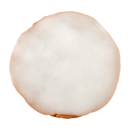 Lemon Poppy