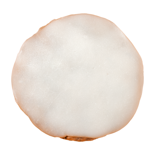 Lemon Poppy